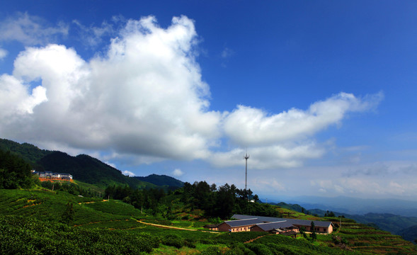 龙山云歌