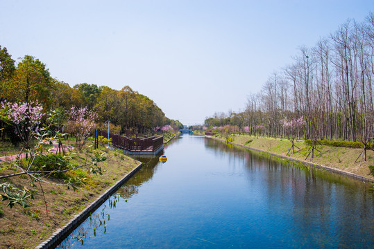 河道