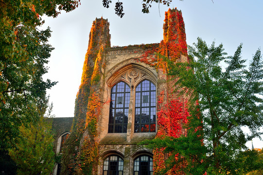 西北大学