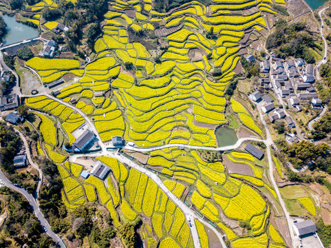 大堰梯田景色