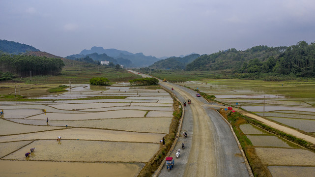 田园