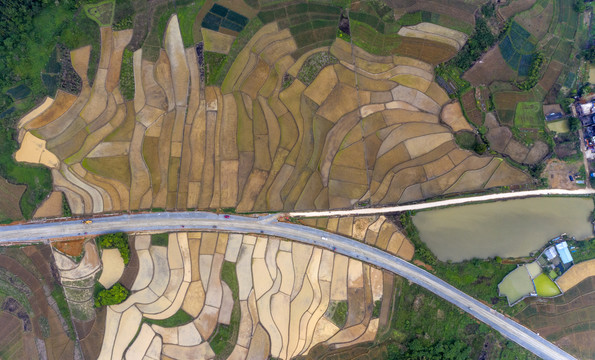 高空鸟瞰田野