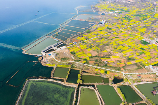 航拍微山湖畔村庄