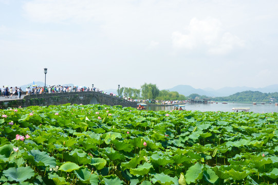 杭州西湖断桥