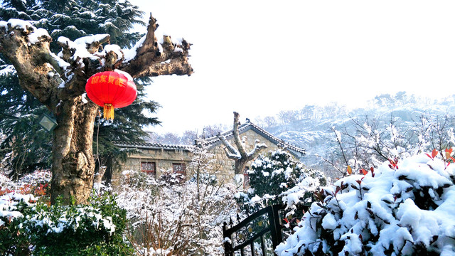 雪后的山林