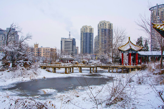 公园石桥凉亭与高层建筑雪景
