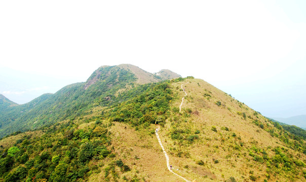 大山景色