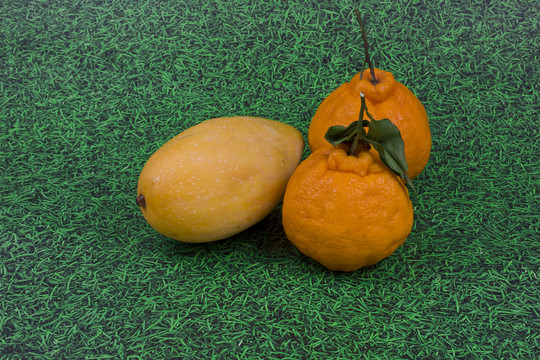 芒果橘子