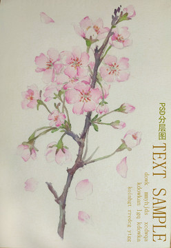 手繪杏花