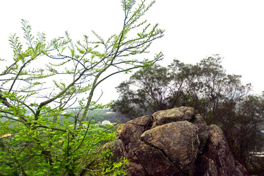 深圳尖岗山公园