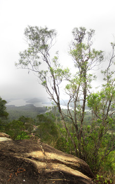 深圳尖岗山公园