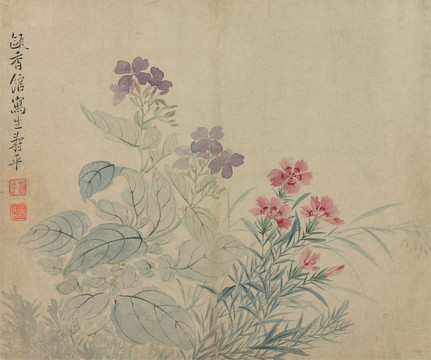 惲南田豆花石竹