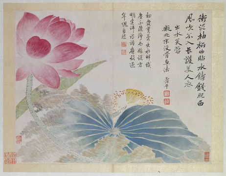 惲南田荷花
