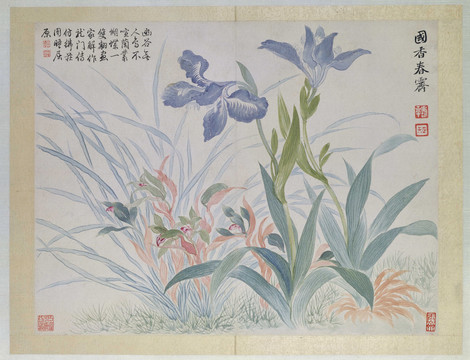 惲南田蘭花蝴蝶花