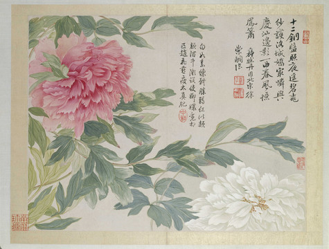 惲南田牡丹