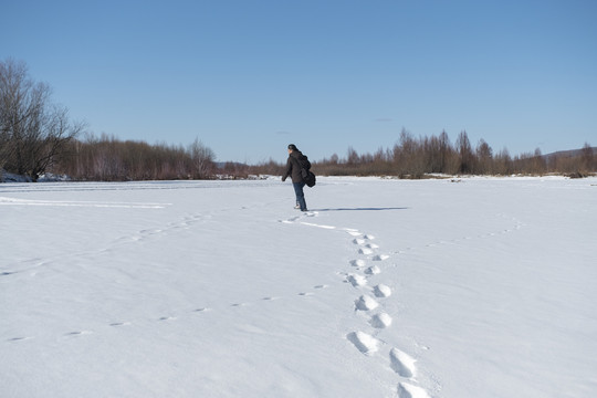 踏雪