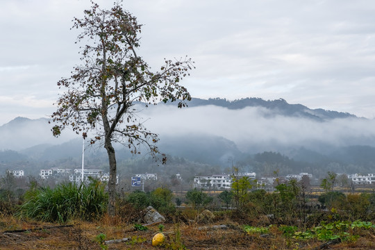 圣人堂远山