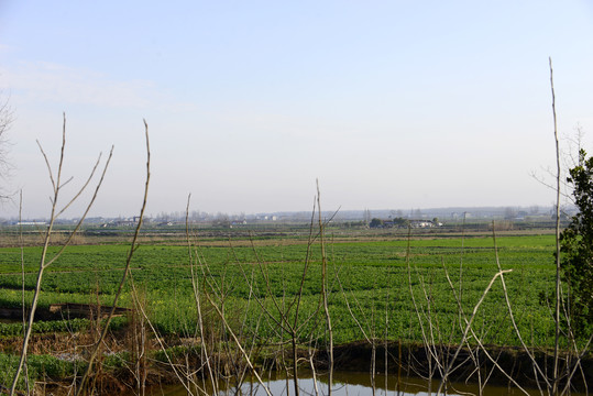 田地