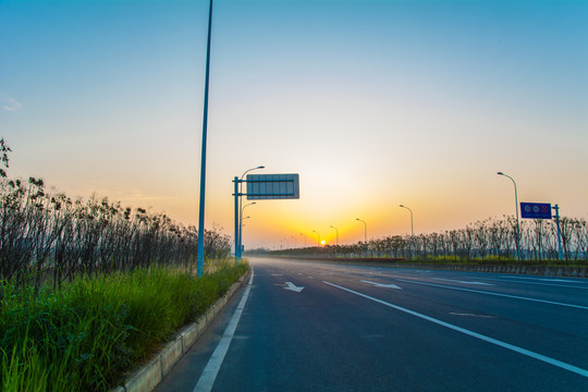 马路日出