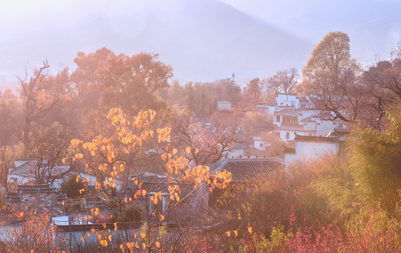 塔川秋色