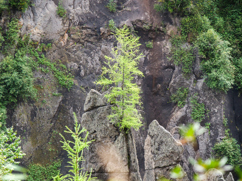 吉林长白山大峡谷