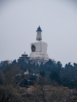 雪后的北京北海公园琼华岛