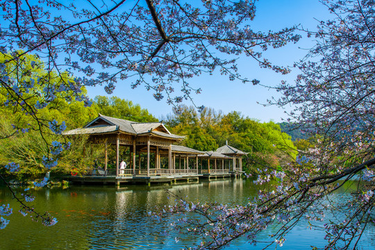 西湖春景