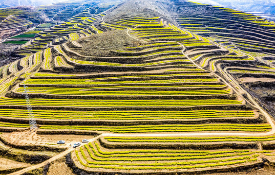 田园美景