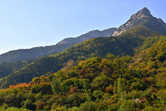 大山秋色