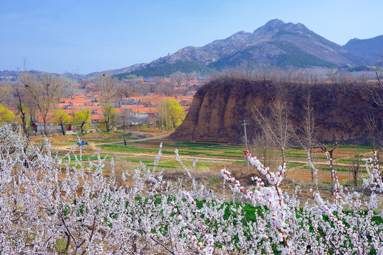 乡村春景