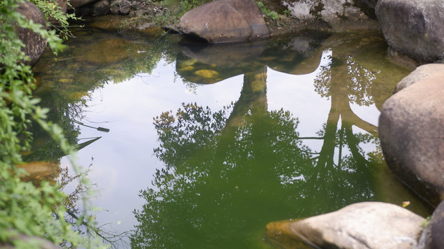 园林水池