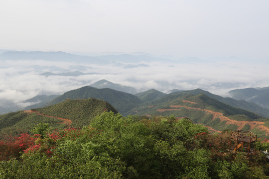 风景