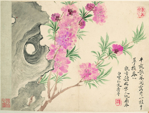 惲南田桃花石頭圖