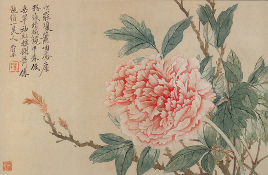 惲南田菊花