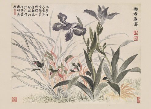 惲南田蘭花圖