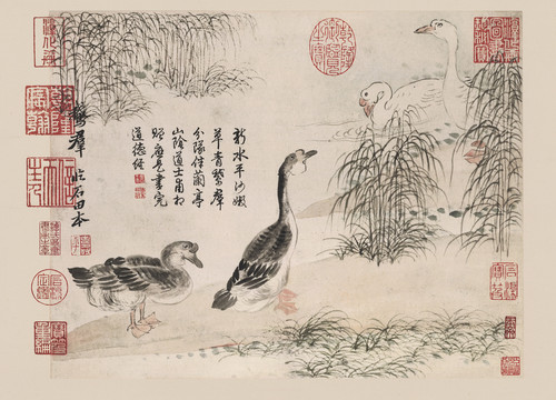 惲南田雙鴨圖
