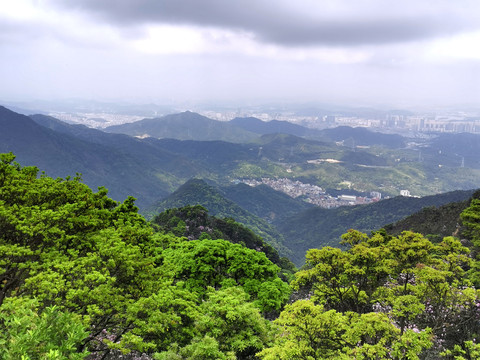 城市绿肺