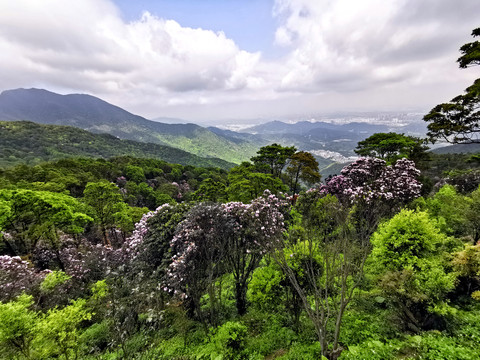 崇山峻岭