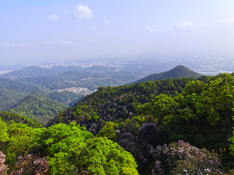 城市绿肺