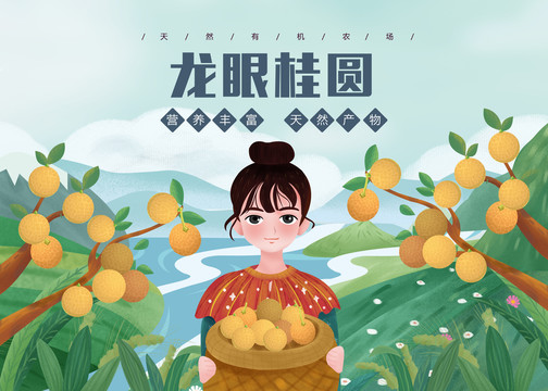 龍眼桂圓女孩包裝盒插畫PSD