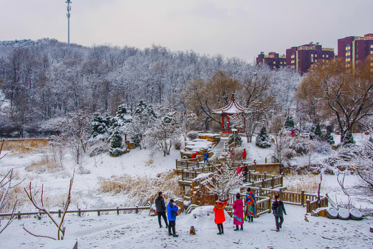 孤岛凉亭折形石桥与山林雪景