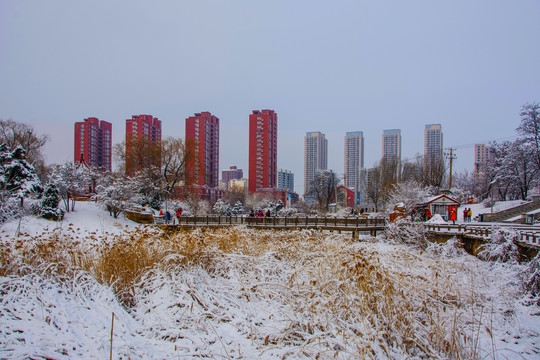 孤岛凉亭折形石桥与住宅群雪景