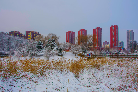 住宅建筑群与凉亭树木草地雪景