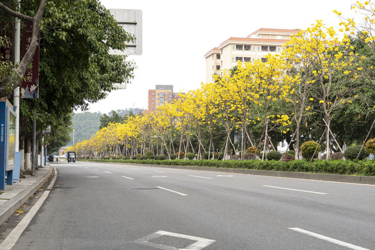 城市街道