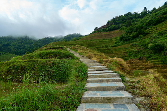 绿道