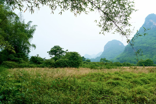 阳朔遇龙河风景区