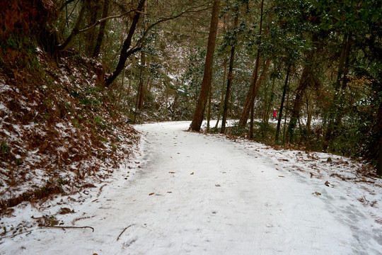 初雪