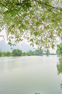 阳朔美景