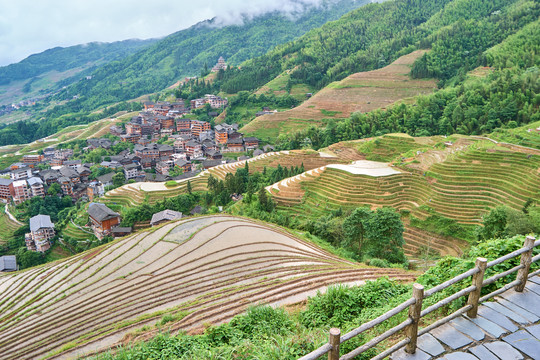 平安寨梯田