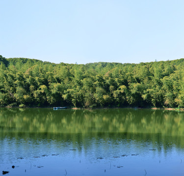 树林湖景